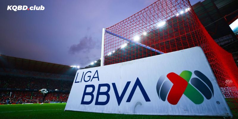 Khán giả cuồng nhiệt